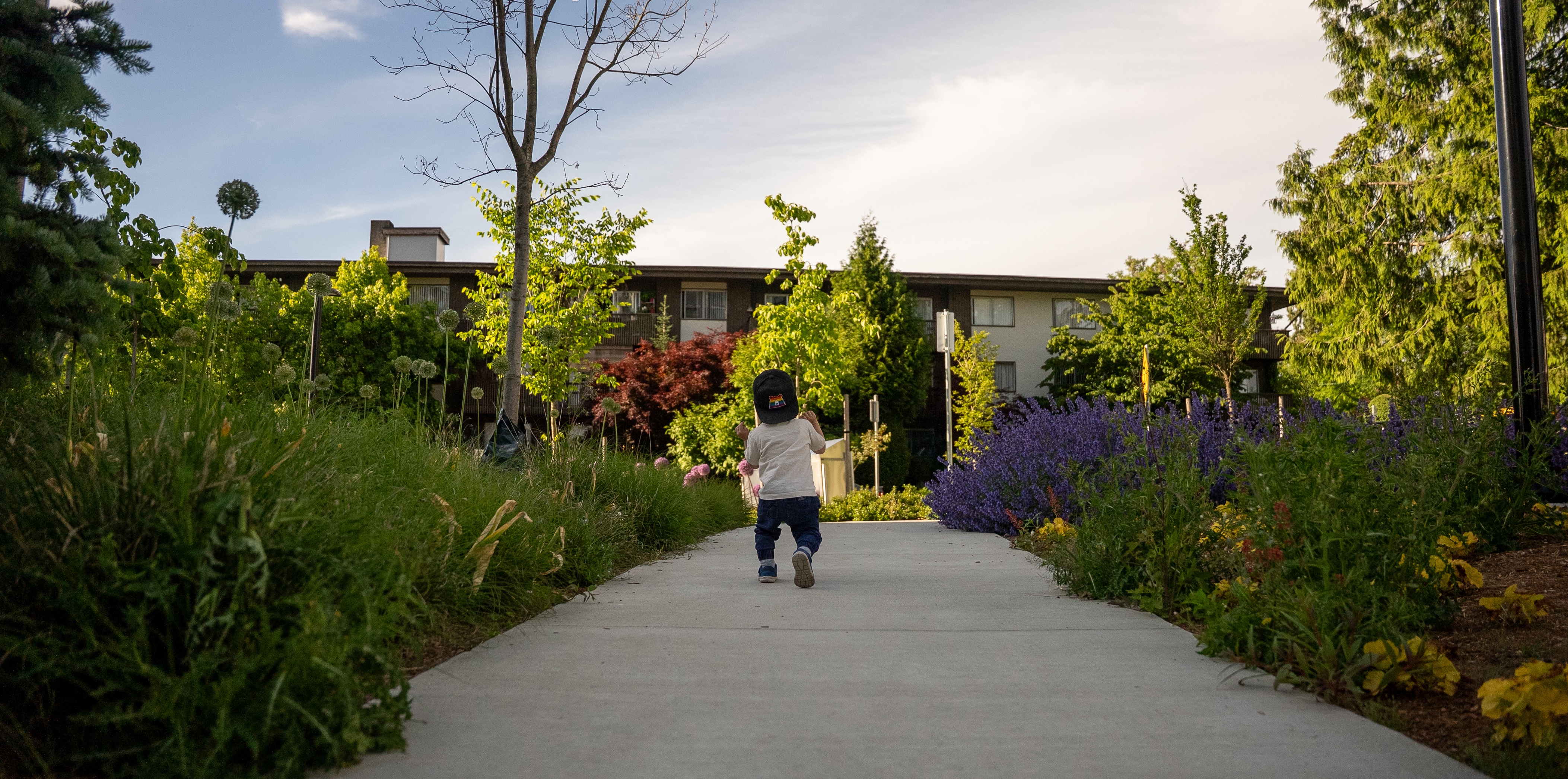 Small child walking between flowers